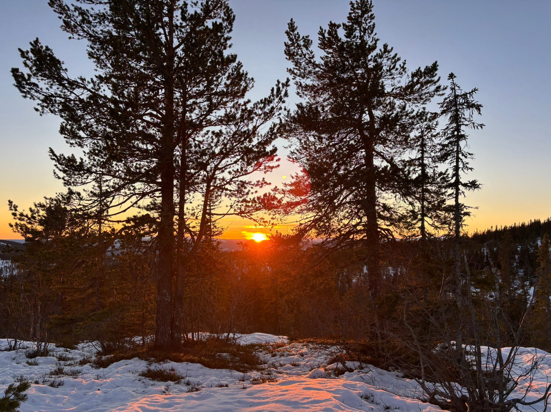 Sigdal Aktiv-Eggedal必去景点