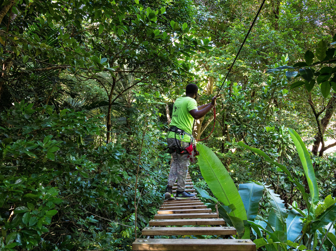 Le Tapeur-Pointe-Noire必去景点