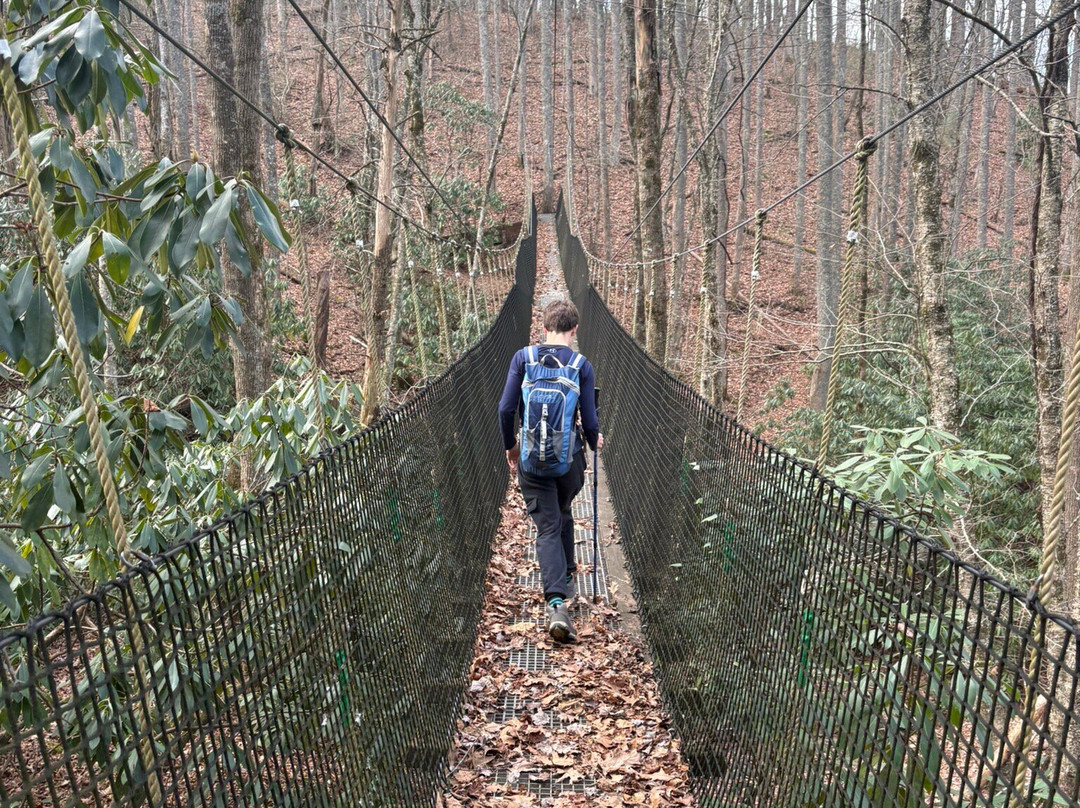 Highlands Aerial Park-Scaly Mountain必去景点