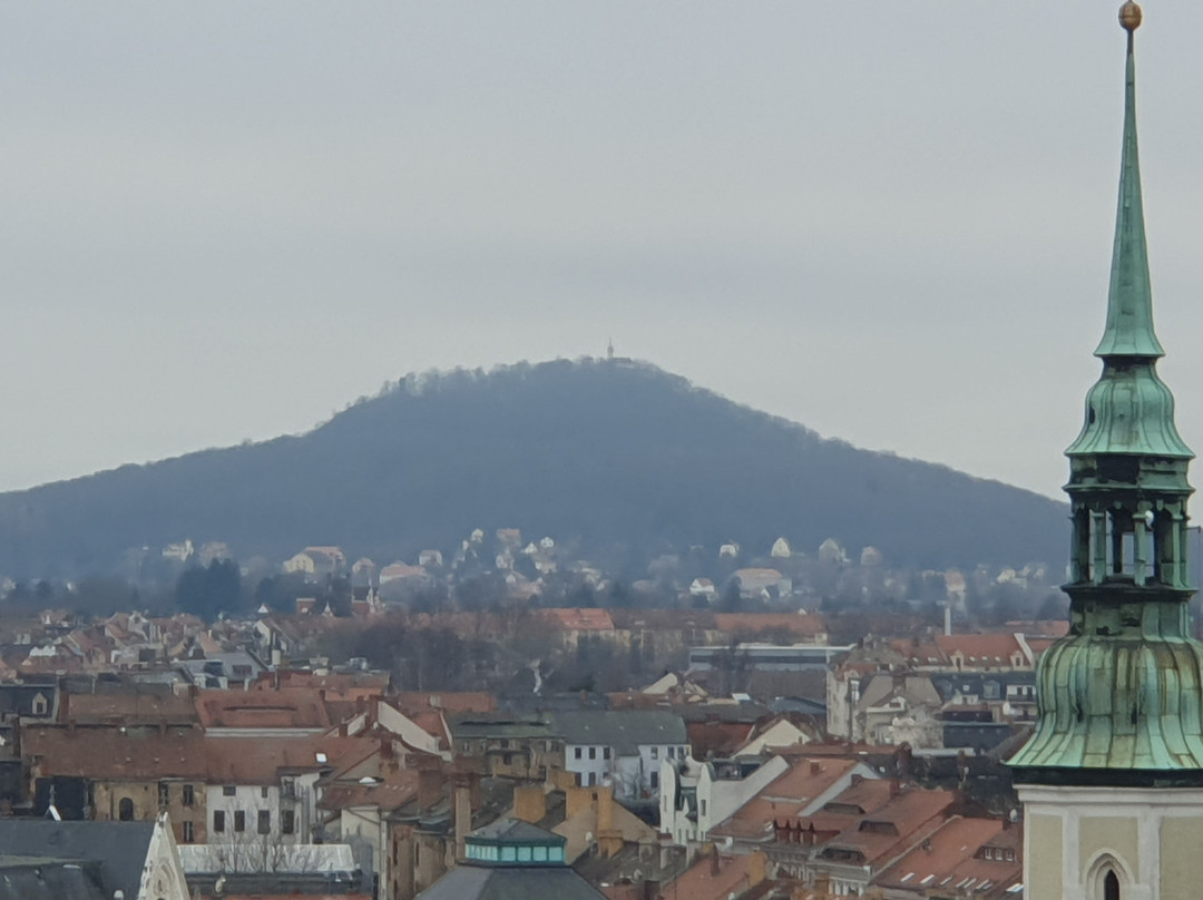 Altes Rathaus Görlitz-格尔利茨必去景点