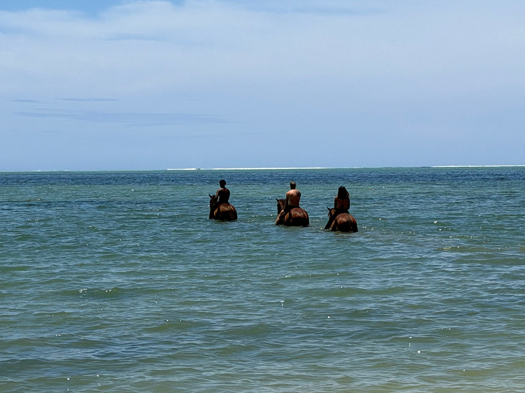 Haras Du Morne-莫纳山必去景点