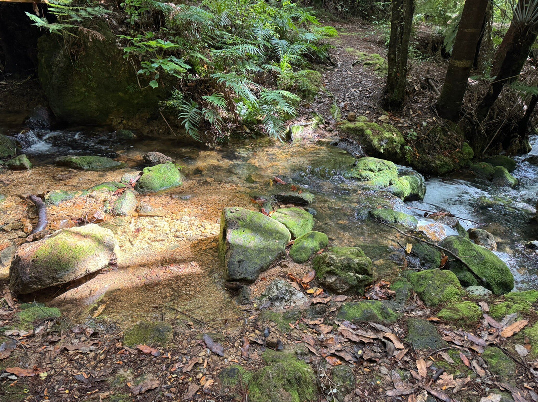 Kiwi Dundee Adventure Tours-Thames必去景点