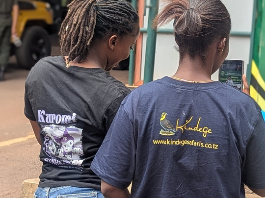 kindege Safaris-莫西必去景点