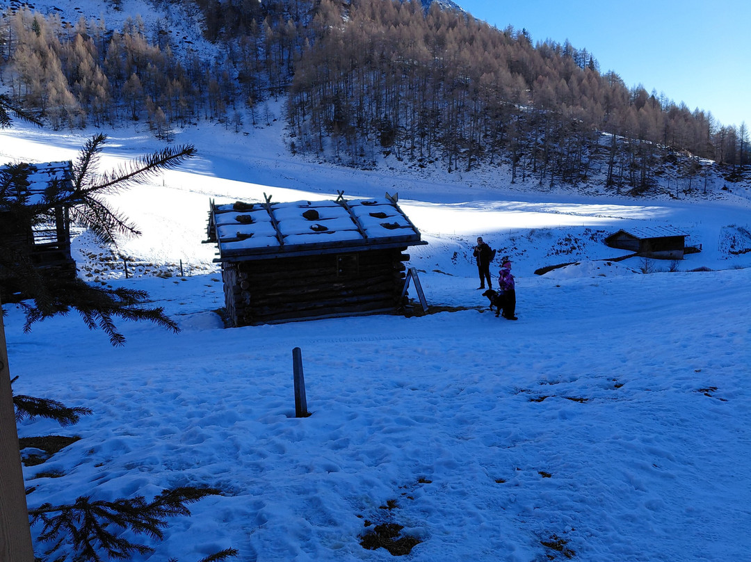 Malga Fane-Rio di Pusteria必去景点