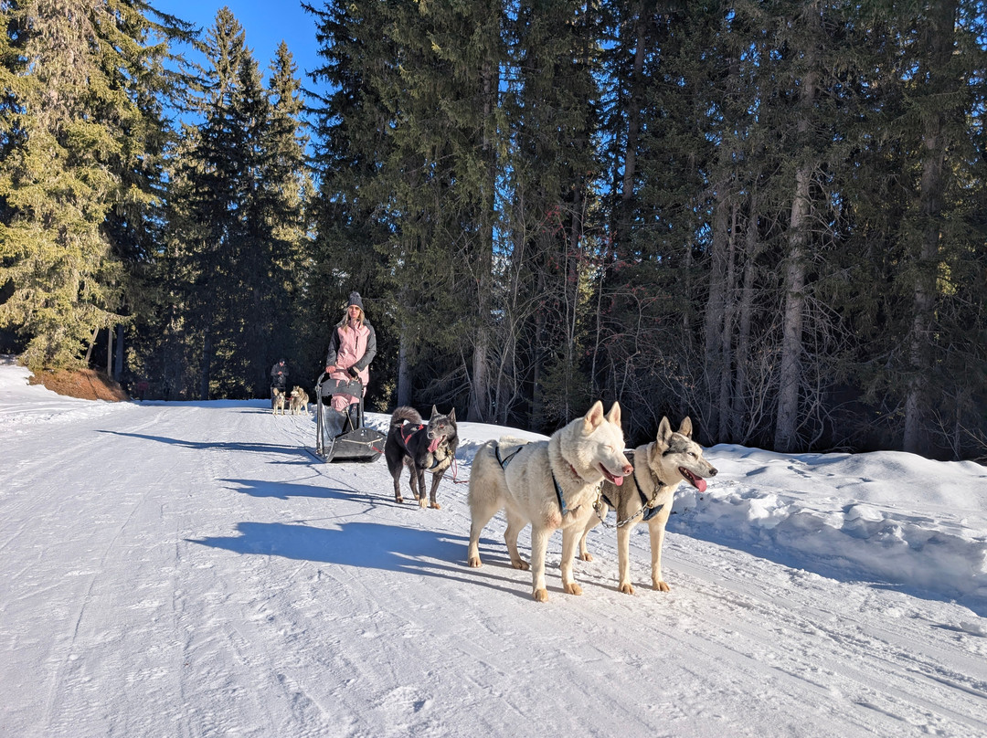 L’Aventure en Traîneau-Vinzier必去景点
