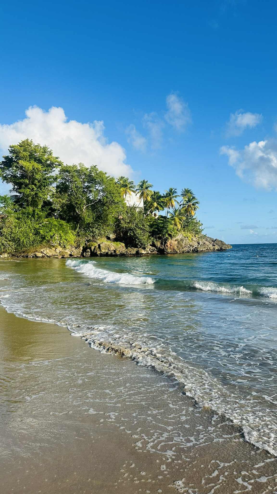 Bahia Principe Grand Samana-泳池