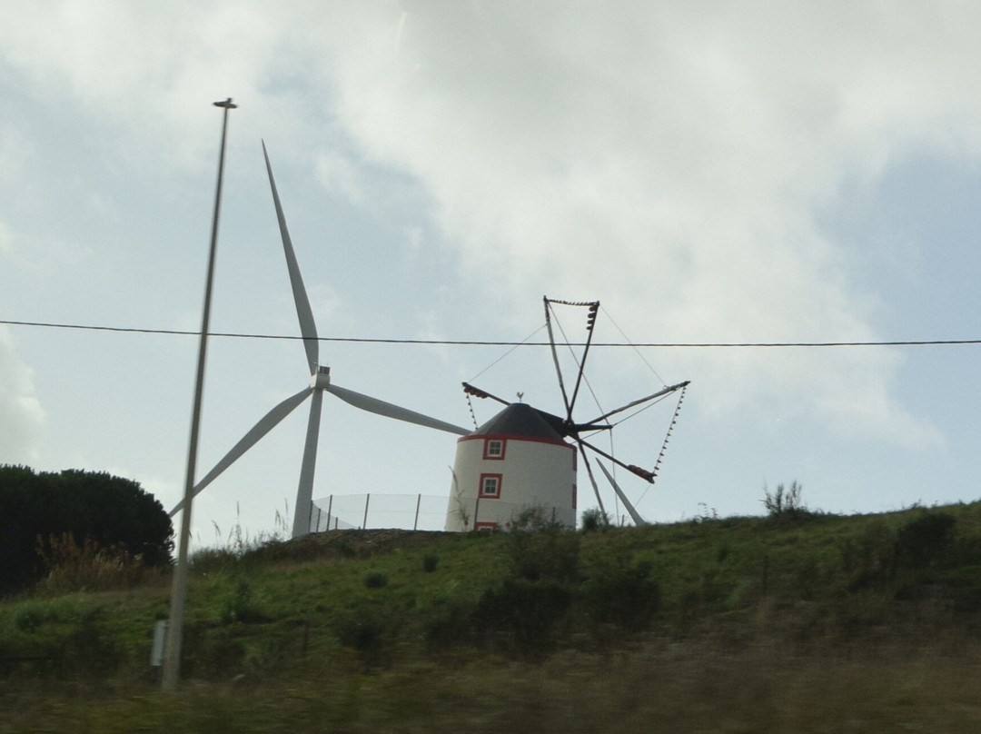 Mywaytours Guides Tours in Portugal-里斯本必去景点