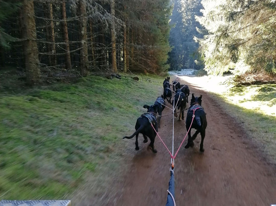 Les Traîneaux de la Roche du Pic-Neussargues en Pinatelle必去景点