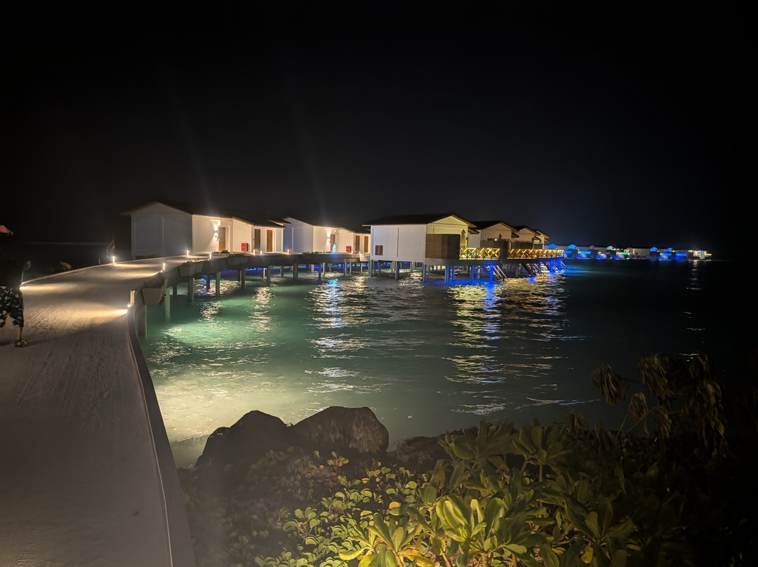 Joy Island Maldives by Cocoon Collection主图