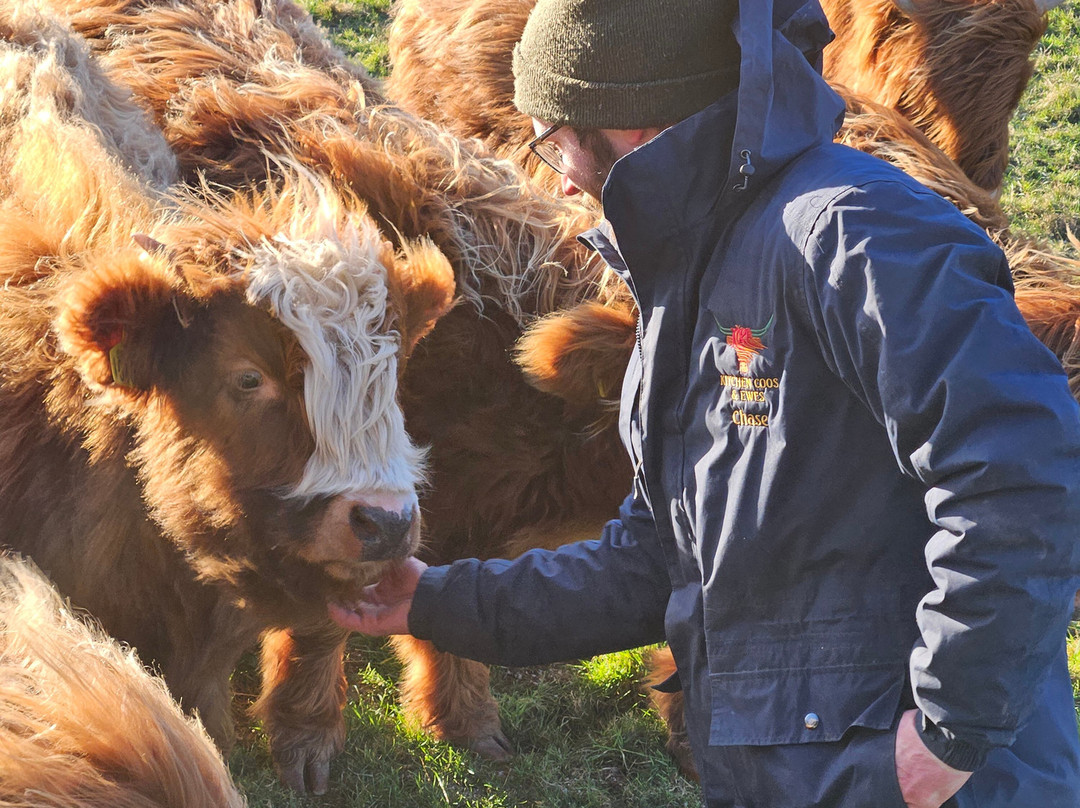 Kitchen Coos & Ewes-New Luce必去景点