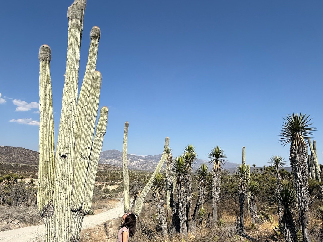 Bio Fan-Tehuacan必去景点