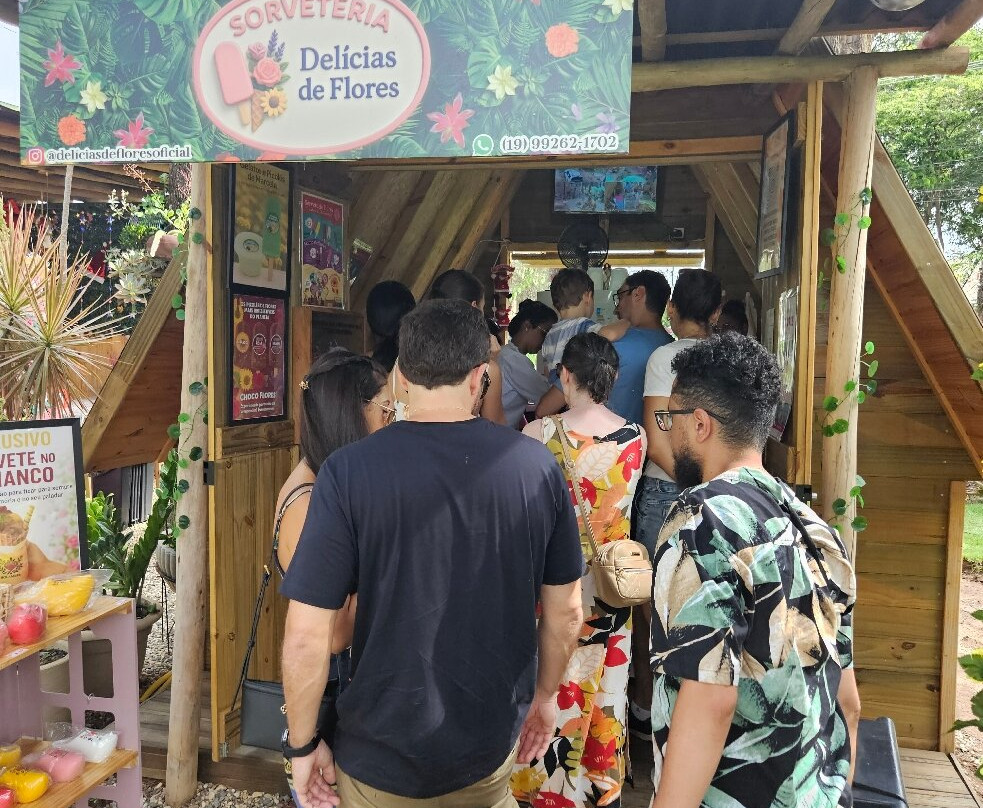 Parque Van Gogh-Holambra必去景点