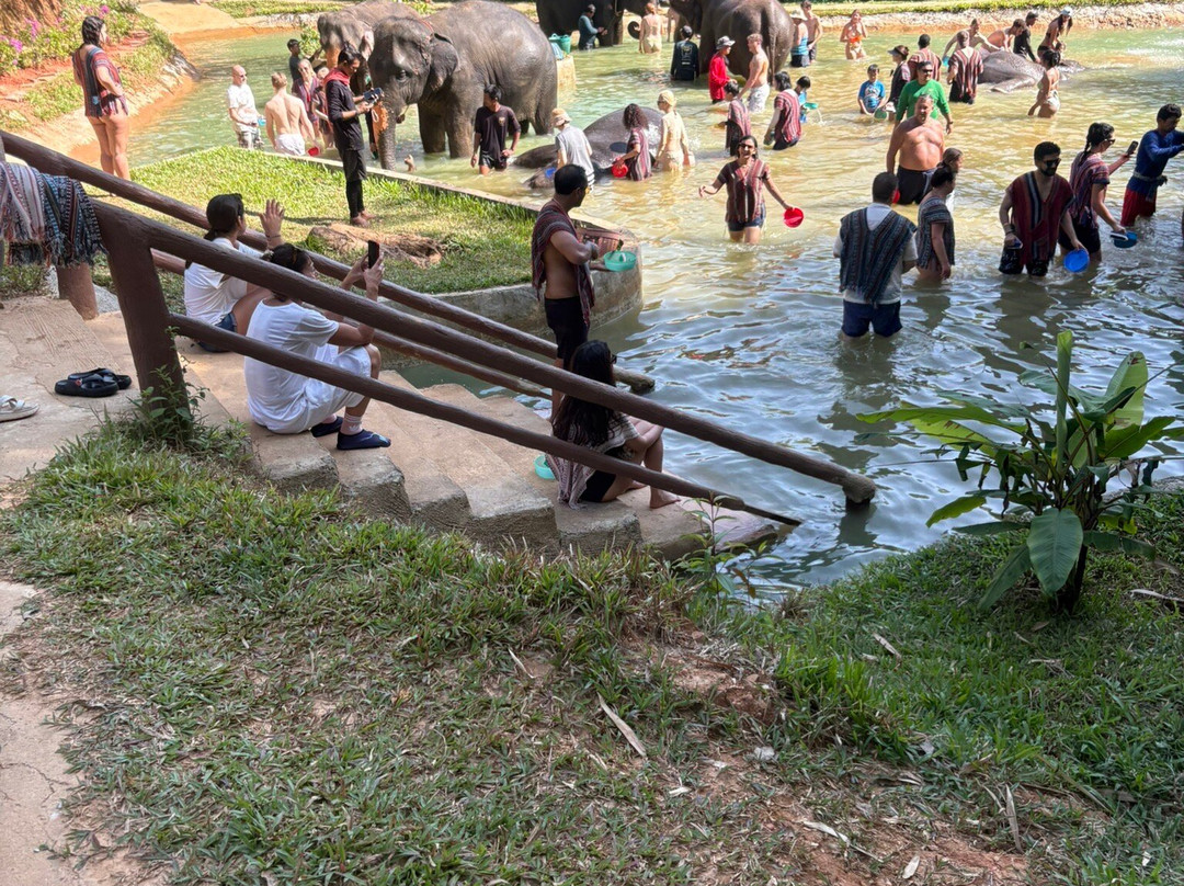 Phuket Elephant Care-奈通必去景点