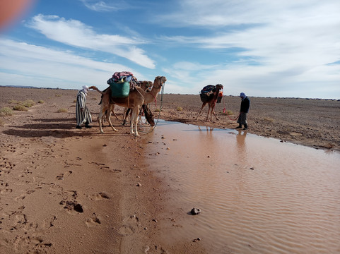 Au pays du Sahara-迈哈米德必去景点