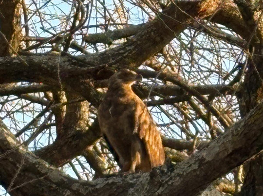 Sam safari & tours-Iringa必去景点