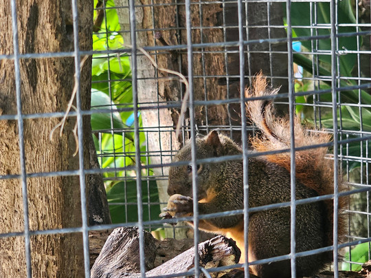 Genesis Nature Park & Art Gallery-多巴哥必去景点