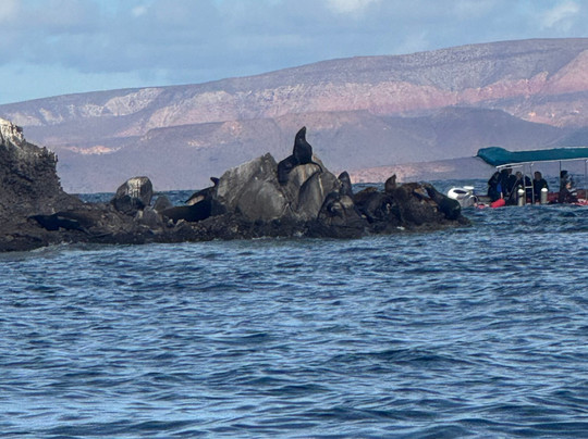Cleos Vip Tours-拉巴斯必去景点