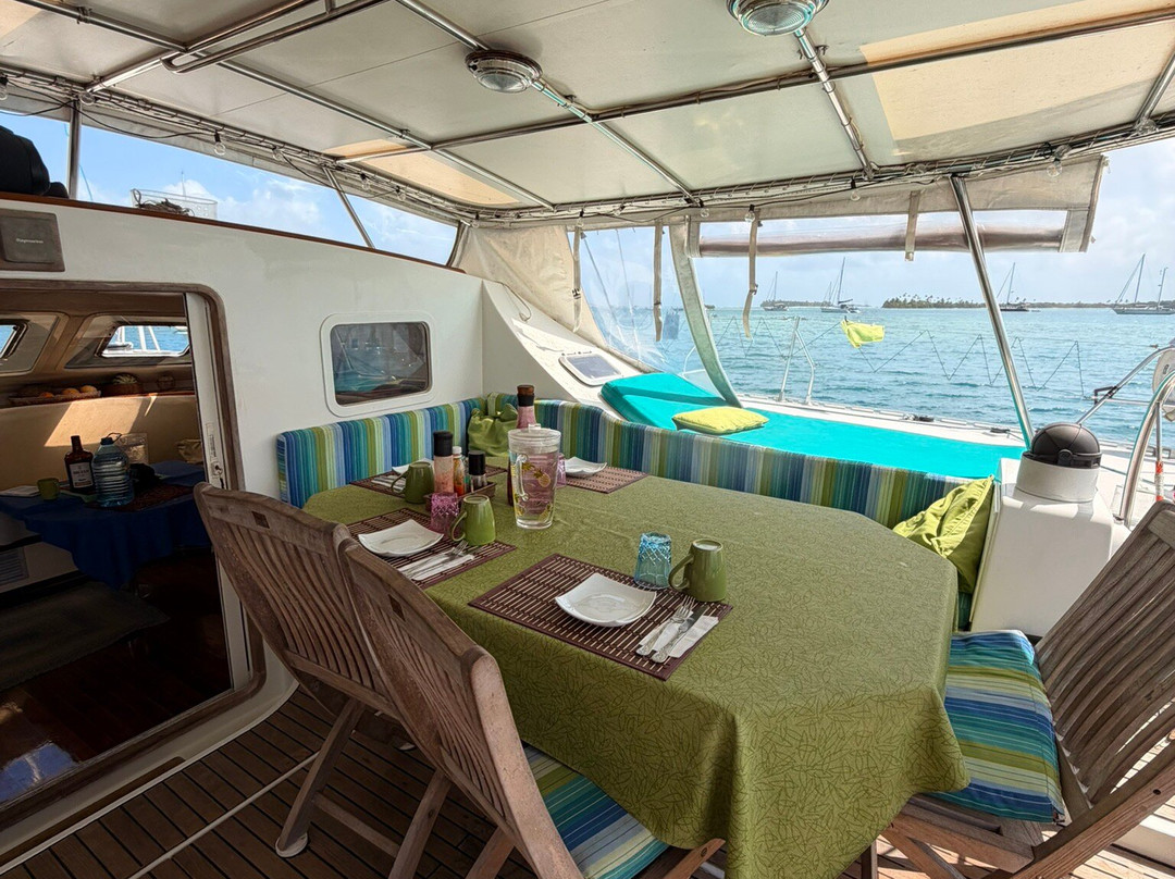 Flying Ginny Catamaran Charter-埃尔波韦尼尔必去景点