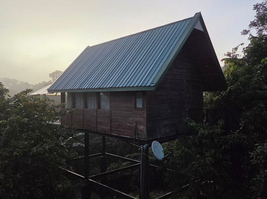 尼斯广场酒店主图