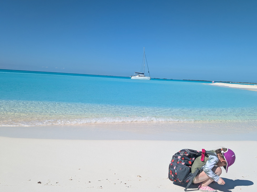 Starfish Cayo Largo主图