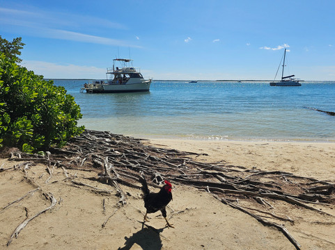 Capt. Marvin's-大开曼岛必去景点