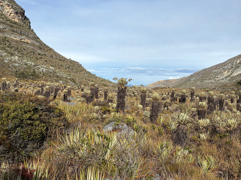 Colombia Oculta-波哥大必去景点