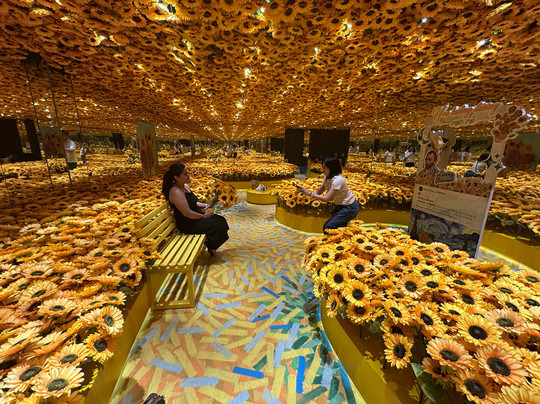 Metashow Exhibition-胡志明市必去景点