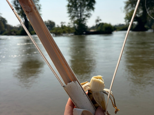 Dolphin Kayaking Adventures-Kratie必去景点