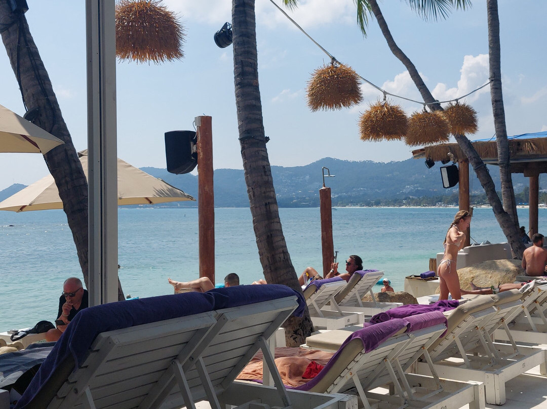 Elephant Beach Club-波普特必去景点