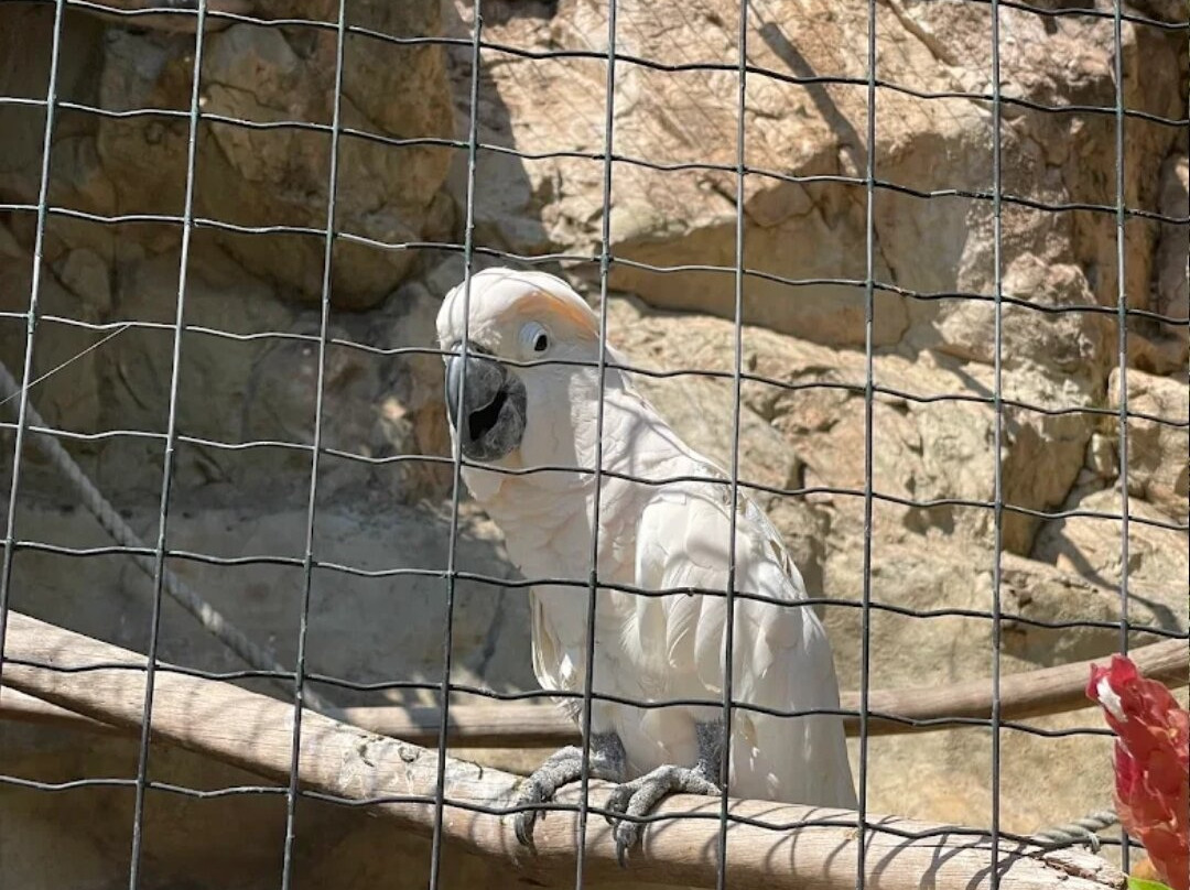 Jardin des animalier-蒙特卡洛必去景点