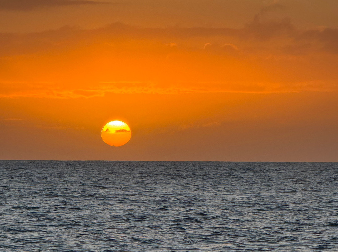 Moana Sailing Charters-火奴鲁鲁必去景点