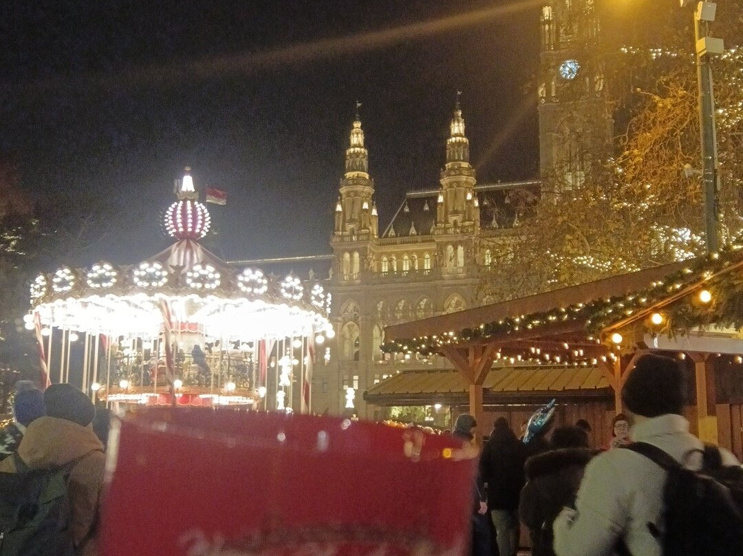 Wiener Christkindlmarkt-维也纳必去景点