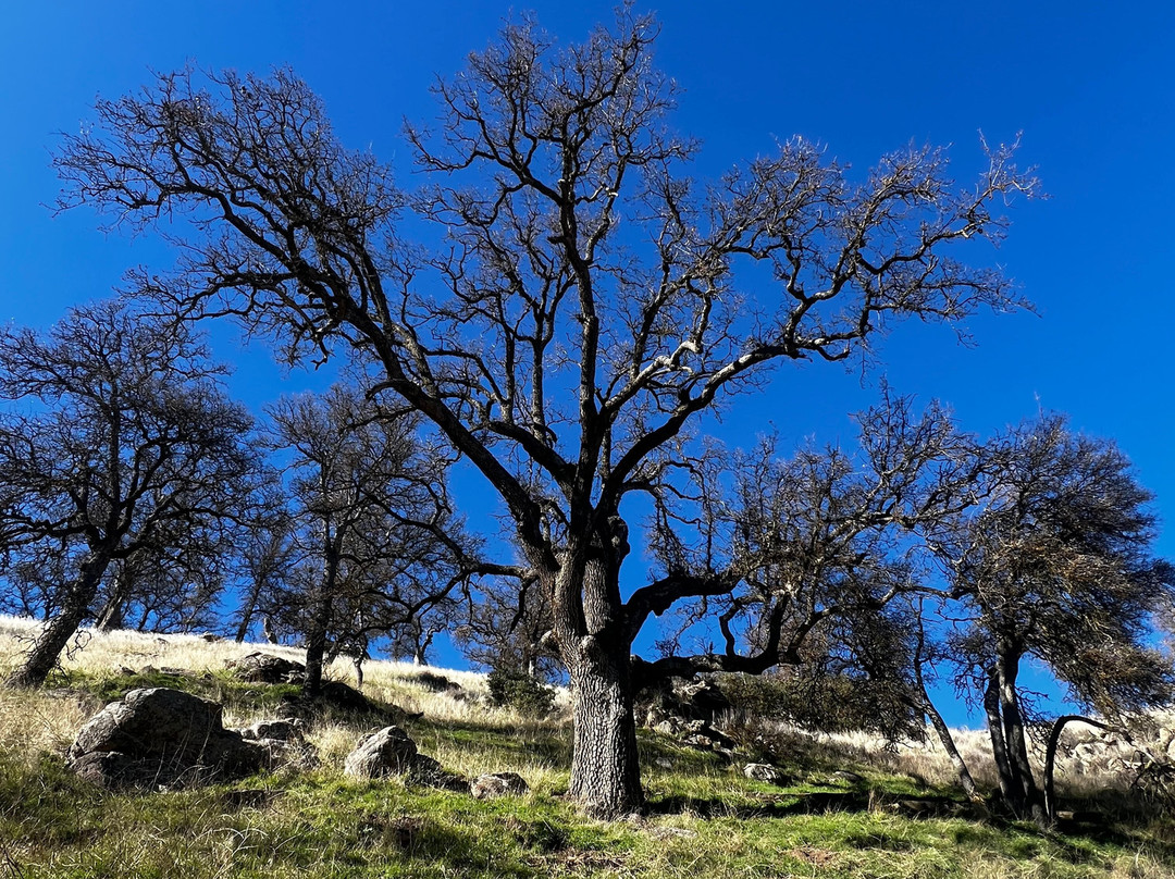 Stallion Springs Resort主图