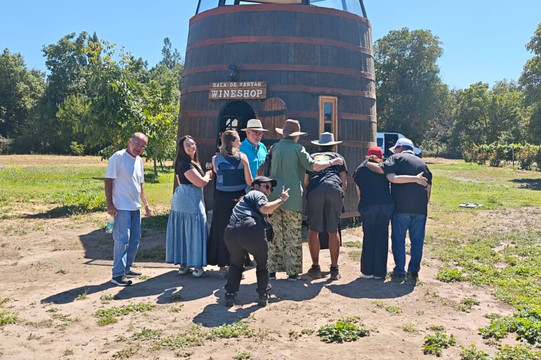 Viña Ballek-Isla de Maipo必去景点