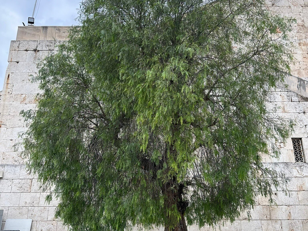 帕纳辛纳科斯体育场-雅典必去景点