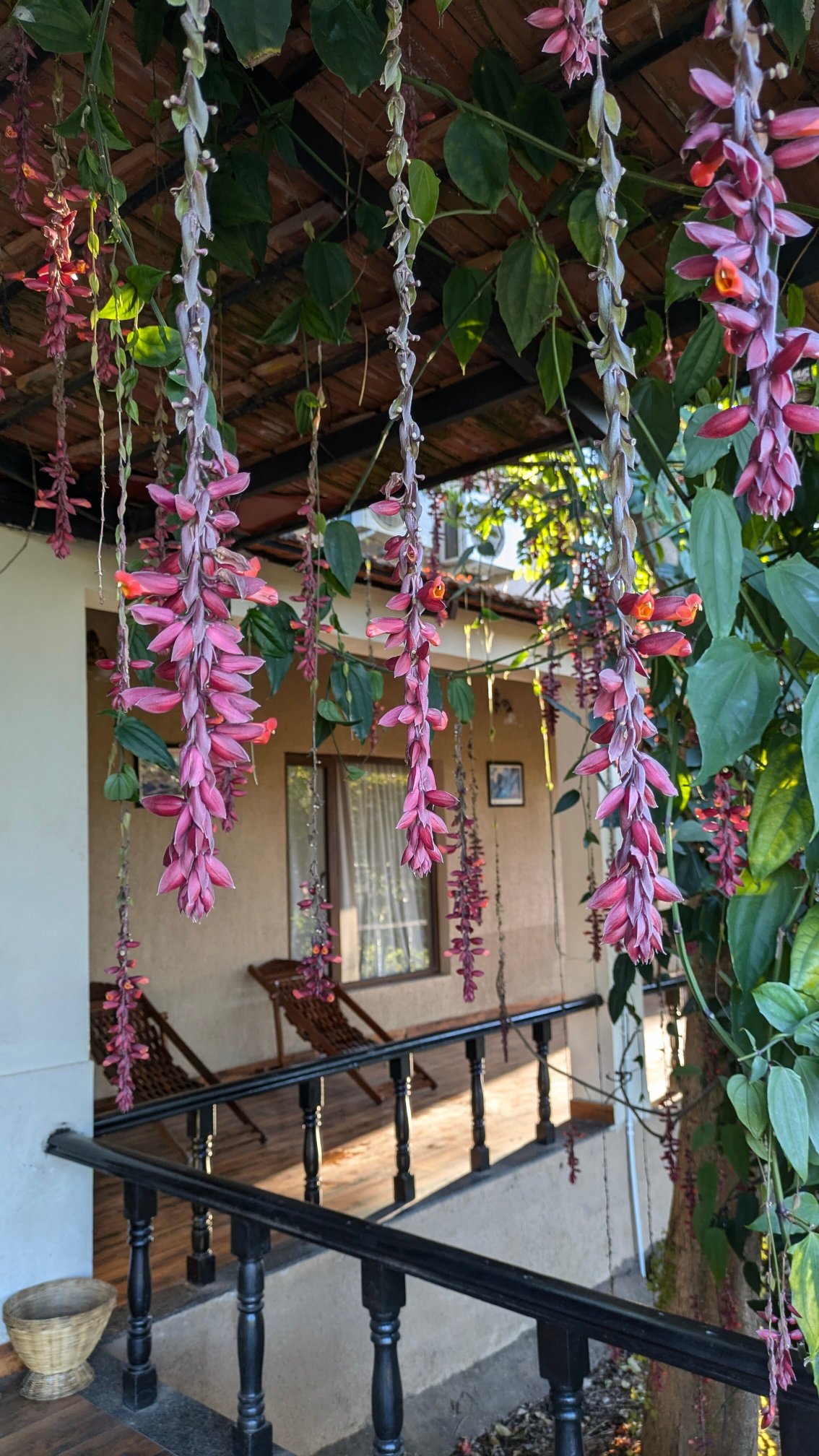 Aranyak Resort Kanha-官方