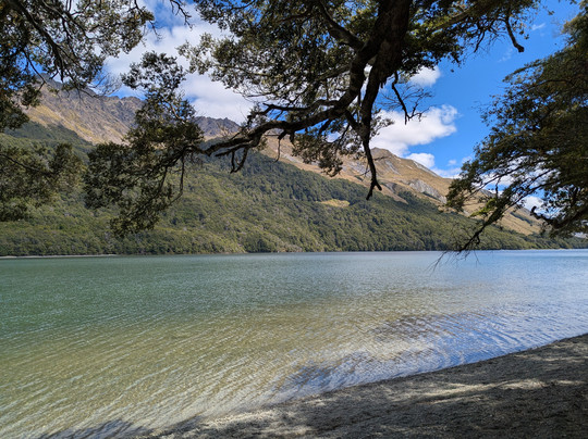 Red Carpet Tours-奥克兰中心地区必去景点