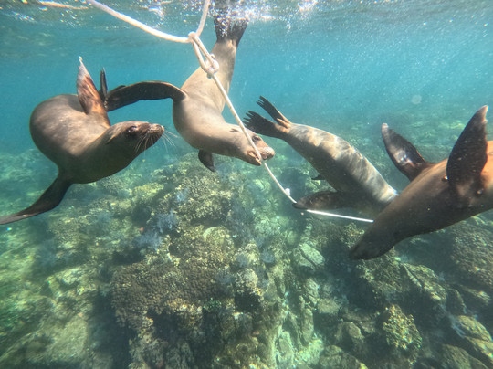 La Paz VIP Tours-拉巴斯必去景点