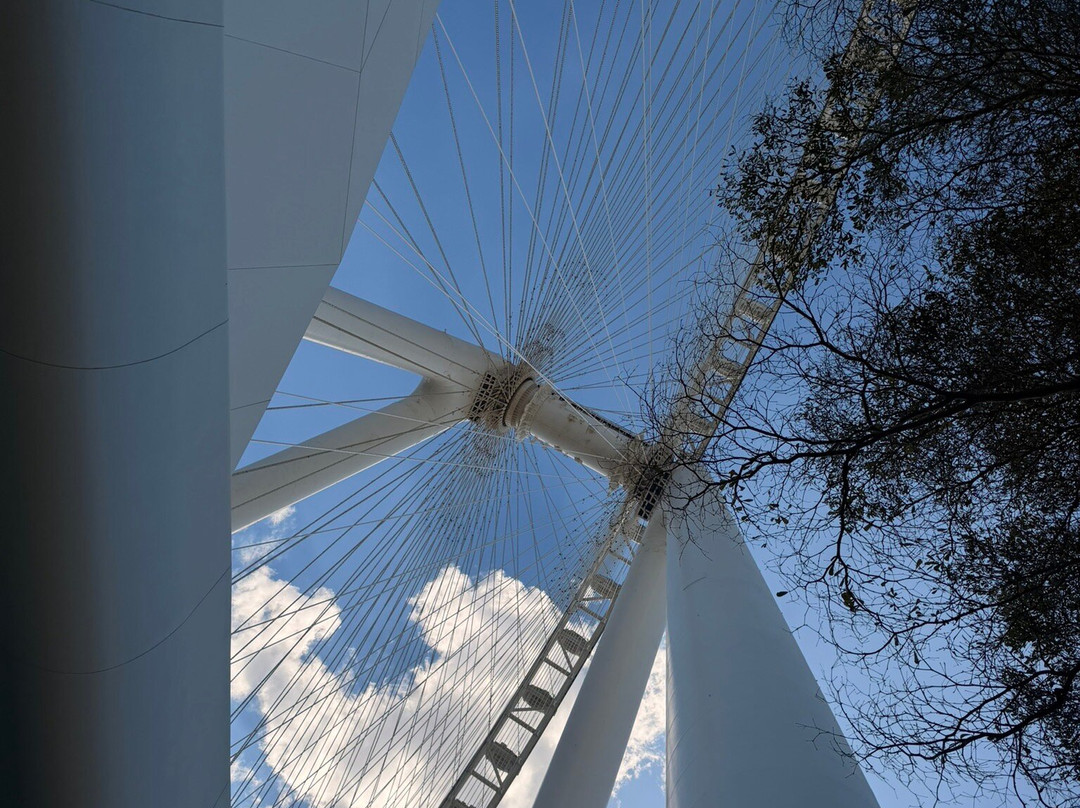 Ain Dubai-迪拜必去景点