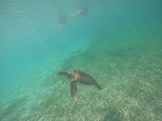 Shamanic Dusk Tulum-Tulum Beach必去景点