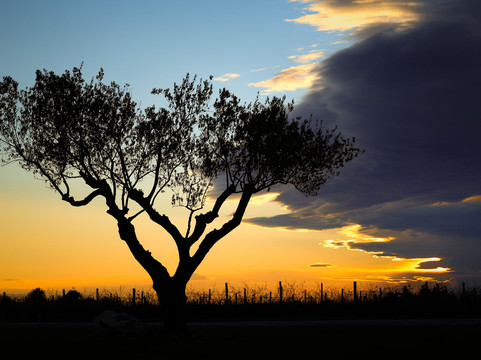 Fantinel-Spilimbergo必去景点