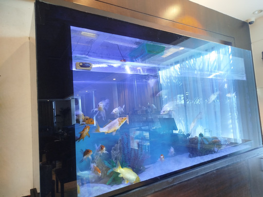 Soaltee Westend Premier主图