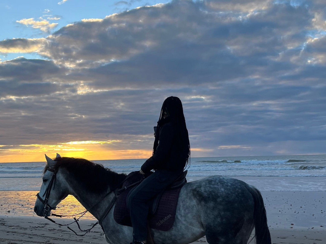 Cheval Essaouira-索维拉必去景点