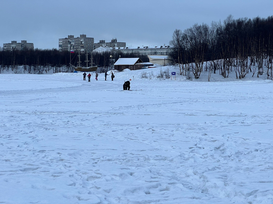 Semyon the Cat Monument-摩尔曼斯克必去景点