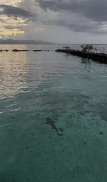 Imagination Island主图