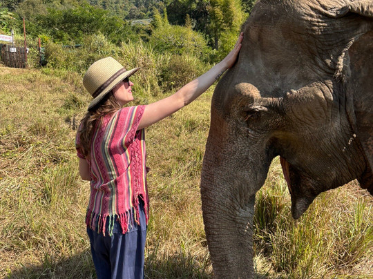 Doi Lom Elephant Rescue Sanctuary-夜登必去景点