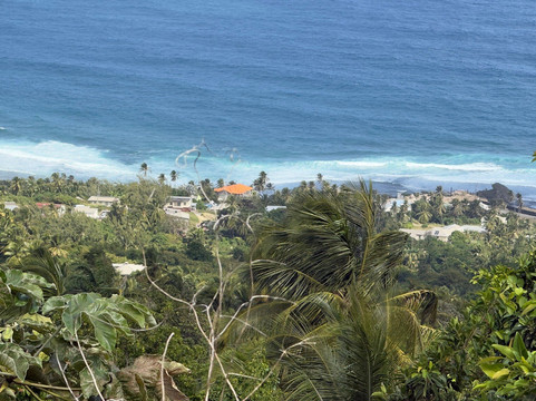 Island Safari Barbados-Saint Michael Parish必去景点