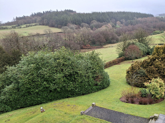 The Falcondale Hotel主图