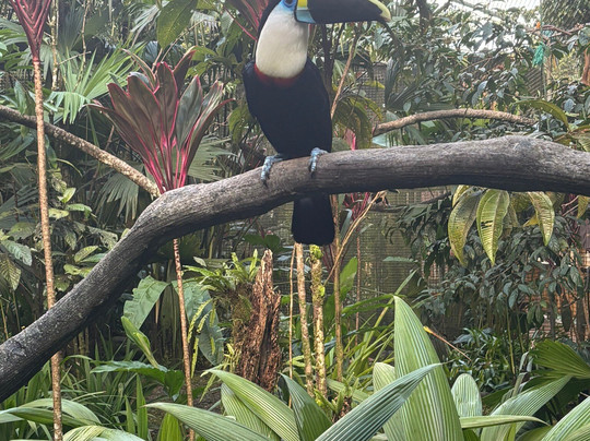 BioParque Yanacocha-Puyo必去景点