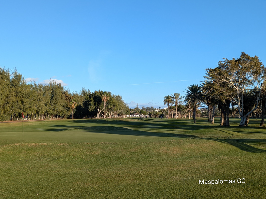 Golf Academy Gran Canaria-马斯帕洛马斯必去景点